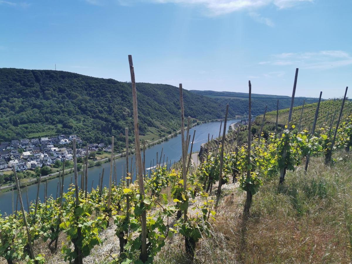 ヴァルデッシュAuszeit Rhein-Moselアパートメント エクステリア 写真