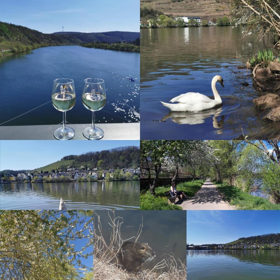 ヴァルデッシュAuszeit Rhein-Moselアパートメント エクステリア 写真